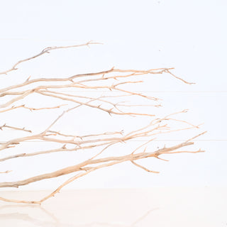 Manzanita Driftwood with intricate natural branches displayed on a white background, measuring 31.5 by 8 by 12 inches