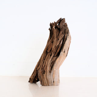 Manzanita Driftwood piece with natural texture and unique shape ideal for aquarium or terrarium decoration measuring 19 by 7 inches