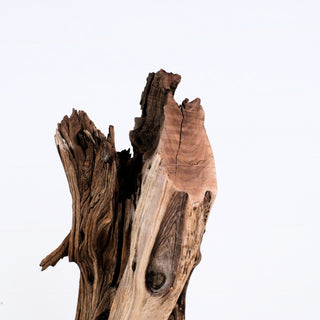 Manzanita Driftwood piece with natural texture and weathered look perfect for aquarium or decorative terrarium use measuring 19 by 7 inches