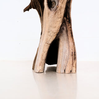 Manzanita Driftwood piece shown with natural textures and hollow base ideal for aquarium or terrarium decoration