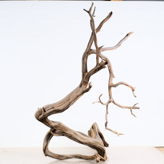 Natural twisted Manzanita Aquarium Driftwood piece ideal for aquarium or terrarium decoration measuring 35.5 by 19 by 20 inches.