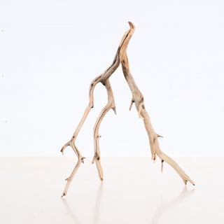 Manzanita Aquarium Driftwood piece with natural branches ideal for aquarium or terrarium decoration, measuring 11.5 by 5 by 8 inches