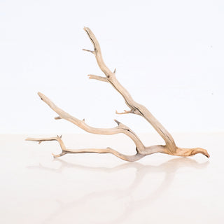 Manzanita Aquarium Driftwood piece with natural branching shape suitable for aquarium or terrarium decoration.
