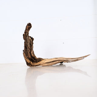 Natural textured Micro Aquarium Manzanita Driftwood piece ideal for aquarium or terrarium decoration measuring 18 inches long
