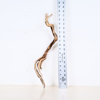 Micro Aquarium Manzanita Driftwood piece measuring 18 inches for aquarium or terrarium decoration.