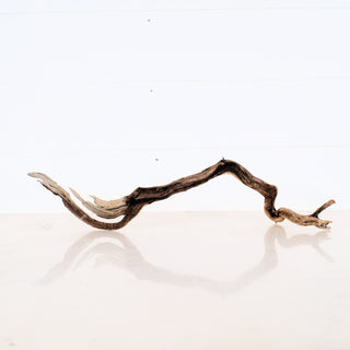 Micro Aquarium Manzanita Driftwood piece measuring 18 inches, perfect for aquarium or terrarium decoration.