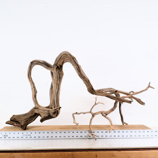 Manzanita Aquarium Driftwood piece measuring 35.5 by 19 by 20 inches suitable for aquarium or terrarium decoration