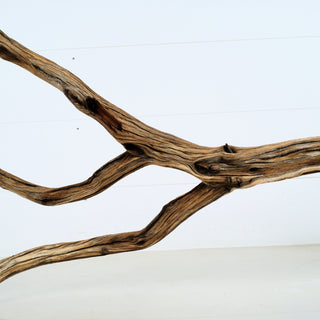 Aquarium Manzanita Driftwood with natural twisted branches perfect for aquarium and terrarium decoration
