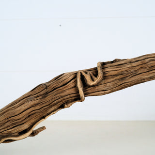 Aquarium Manzanita Driftwood piece with natural texture and unique curves for aquarium and terrarium decor.