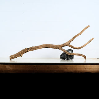 Aquarium Manzanita Driftwood piece with natural branching, displayed on a wooden surface against a white background