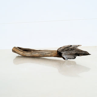 Micro Manzanita Driftwood piece with natural texture and shape, ideal for aquarium and terrarium decoration, measuring 12 inches long