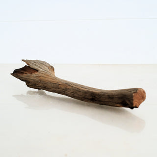 Micro Manzanita Driftwood piece measuring 12 inches, suitable for aquarium and terrarium decoration.