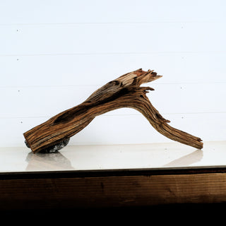 Aquarium Manzanita Driftwood piece with natural texture displayed on a reflective surface for aquarium or terrarium use