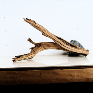 Aquarium Manzanita Driftwood pieces displayed on a reflective surface, suitable for aquarium and terrarium decor.