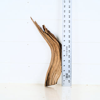 Aquarium Manzanita Driftwood piece measuring 14 inches ideal for aquarium or terrarium decoration
