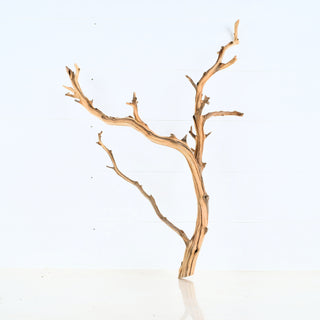 Aquarium Manzanita Driftwood piece with natural branched texture suitable for aquarium or terrarium decoration