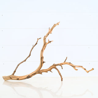 Aquarium Manzanita Driftwood shown on white background with natural wood textures for aquarium or terrarium decor