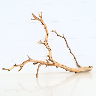 Aquarium Manzanita Driftwood with natural branches ideal for aquarium or terrarium decoration in various sizes.