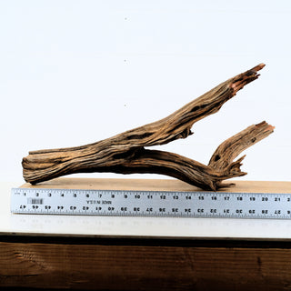 Aquarium Manzanita Driftwood piece measuring about 19 inches with natural textured wood for aquarium or terrarium décor