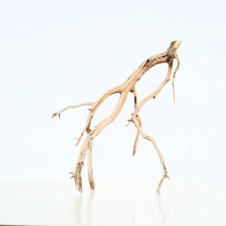 Aquarium Manzanita Driftwood piece with natural twisted branches, perfect for aquarium or terrarium decor.