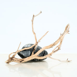 Aquarium Manzanita Driftwood piece displayed with natural stone, ideal for aquarium or terrarium decoration.