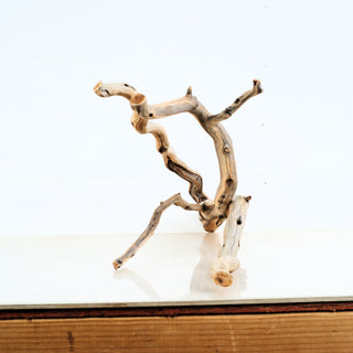 Aquarium Manzanita Driftwood with natural twisting branches ideal for aquarium or terrarium decoration and aquascaping.