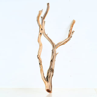 Aquarium Manzanita Driftwood with natural twisting branches ideal for aquarium or terrarium decoration and design.