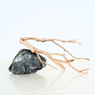 Natural shaped Aquarium Manzanita Driftwood displayed on a dark rock for aquarium or terrarium decor
