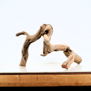 Aquarium Manzanita Driftwood piece with natural curves and texture displayed on a wooden surface for aquarium or terrarium decor