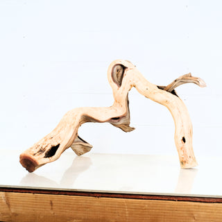 Aquarium Manzanita Driftwood with natural curved branches perfect for aquarium or terrarium decoration and aquascaping.