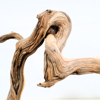 Aquarium Manzanita Driftwood piece with twisted natural wood grain, perfect for aquarium or terrarium decoration and aquascaping