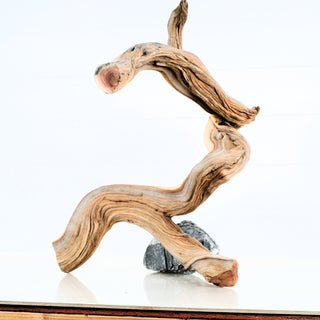 Aquarium Manzanita Driftwood piece with natural curves and texture for aquarium or terrarium decoration