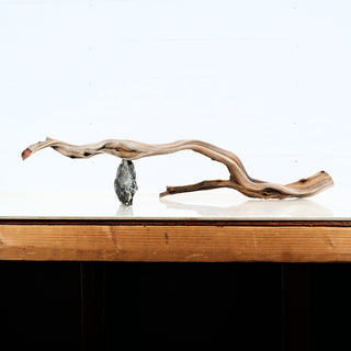 Aquarium Manzanita Driftwood piece displayed on a wooden surface for aquarium or terrarium decoration.