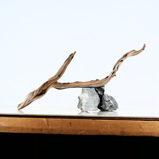 Aquarium Manzanita Driftwood with natural twisted shape displayed on rocks for aquarium or terrarium decor