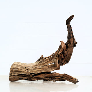 Aquarium Manzanita Driftwood piece with natural curves and texture perfect for aquarium or terrarium decoration