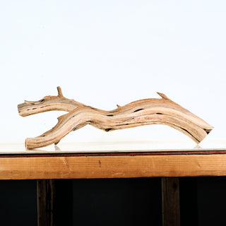 Aquarium Manzanita Driftwood piece with natural curves displayed on wooden surface for aquarium or terrarium use