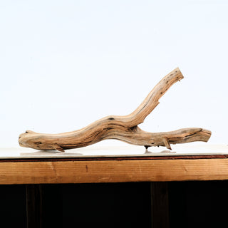 Aquarium Manzanita Driftwood piece with natural curves and texture for aquarium or terrarium decoration on wooden surface