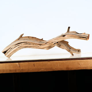 Aquarium Manzanita Driftwood piece with natural curves and texture ideal for aquarium or terrarium decoration.