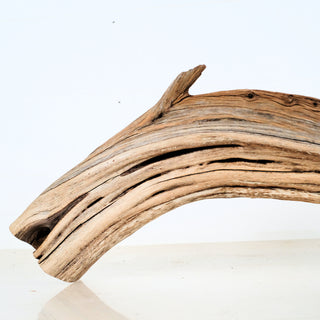 Aquarium Manzanita Driftwood with natural curves and texture, perfect for aquarium or terrarium decoration.
