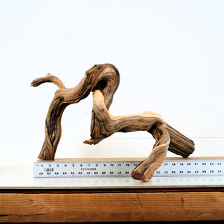 Aquarium Manzanita Driftwood piece displayed with ruler for scale, ideal for aquarium or terrarium decoration