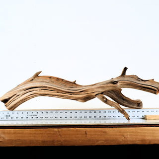 Aquarium Manzanita Driftwood piece shown with measurement ruler for size reference, ideal for aquarium or terrarium setups