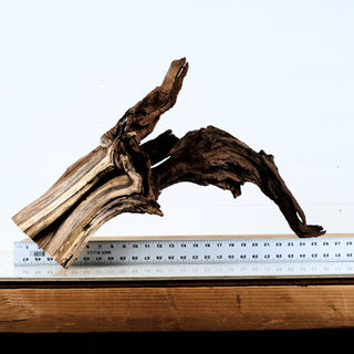 Aquarium Manzanita Driftwood piece shown against ruler for size reference in aquarium or terrarium setup