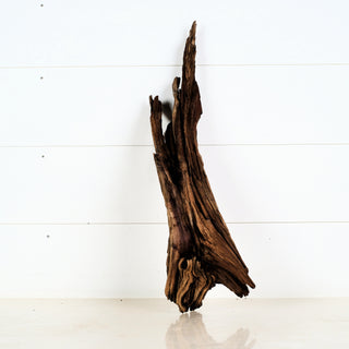 Aquarium Manzanita Driftwood 16" individually photographed with natural texture, manzanita for pets décor piece.