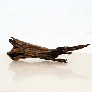 Aquarium Manzanita Driftwood 16" individually photographed with textured natural wood grain, manzanita for pets aquarium terrarium