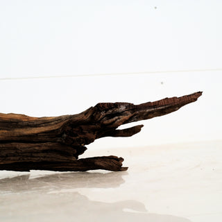 Aquarium Manzanita Driftwood 16" individually photographed with rustic texture, manzanita for pets aquarium terrarium decor