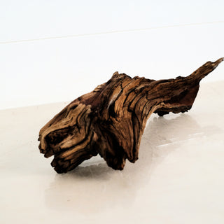 Aquarium Manzanita Driftwood 16" individually photographed with textured wood grain, manzanita for pets décor piece.