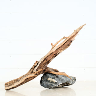 Aquarium Manzanita Driftwood 27" individually photographed with natural aged wood grain, manzanita for pets aquarium terrarium