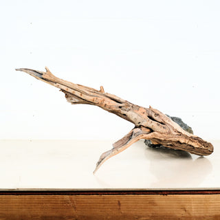 Aquarium Manzanita Driftwood 27" individually photographed with natural rustic texture, manzanita for pets aquarium terrarium