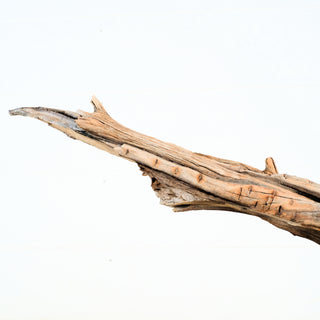 Aquarium Manzanita Driftwood 27" individually photographed showcasing natural aged wood texture, manzanita for pets aquarium terrarium