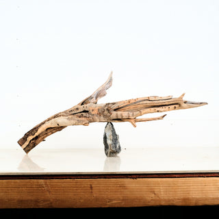 Aquarium Manzanita Driftwood 27" individually photographed with natural pet-safe texture, manzanita for pets aquarium terrarium